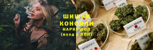 ГАЛЛЮЦИНОГЕННЫЕ ГРИБЫ Абаза