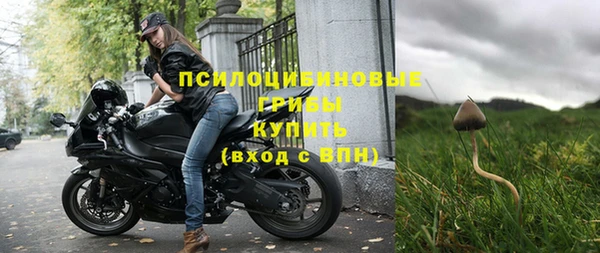ГАЛЛЮЦИНОГЕННЫЕ ГРИБЫ Абаза