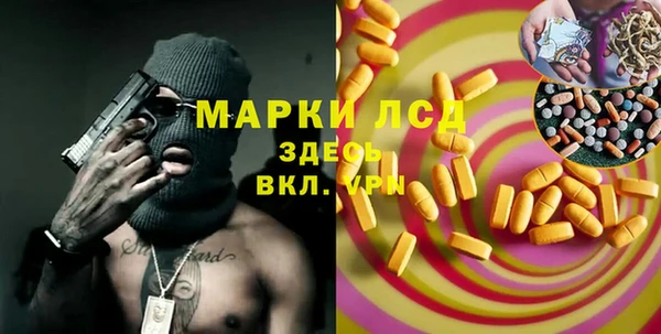 ГАЛЛЮЦИНОГЕННЫЕ ГРИБЫ Абаза